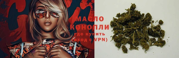 гидра Арсеньев