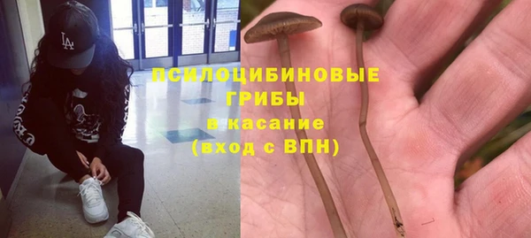 стаф Балахна