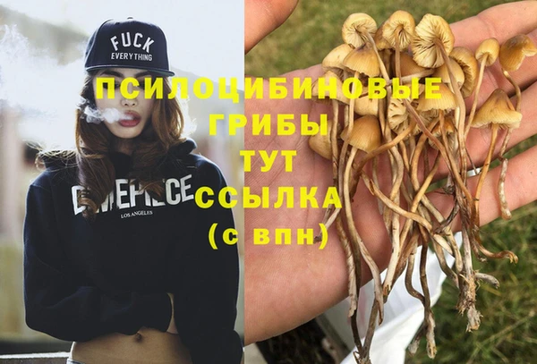 стаф Балахна